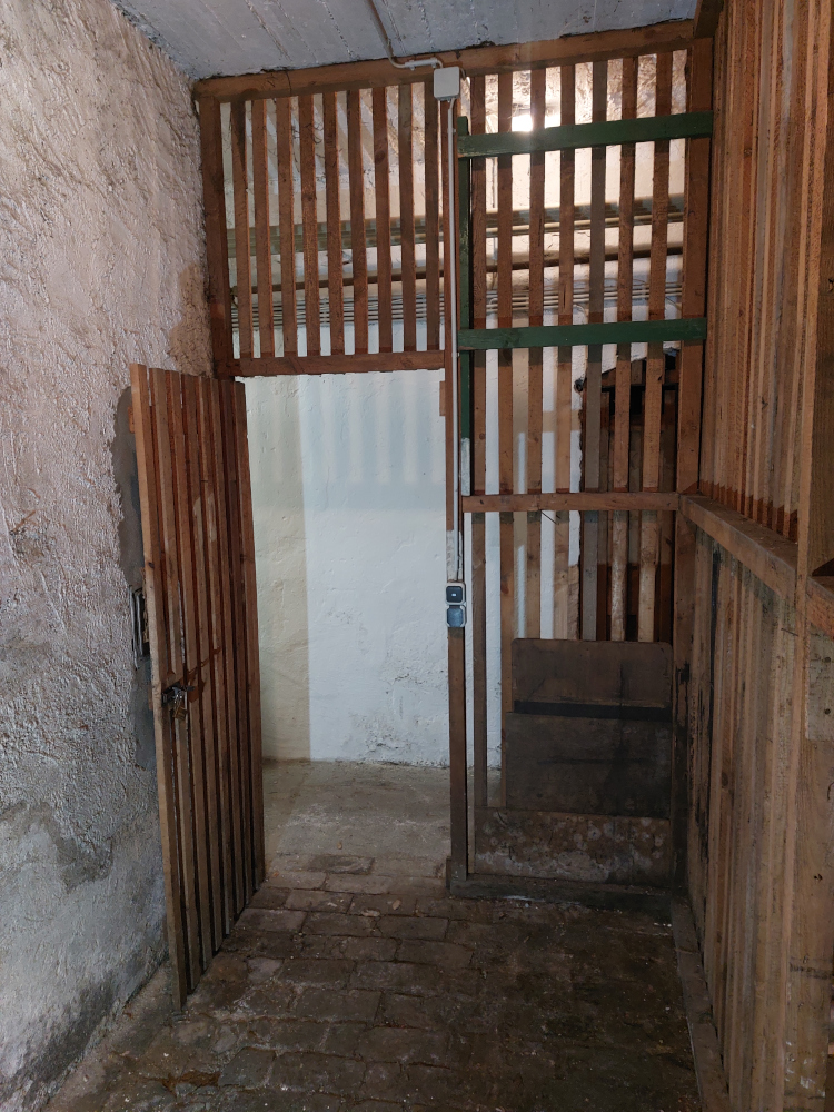 kg_20220326_092937_750x1000