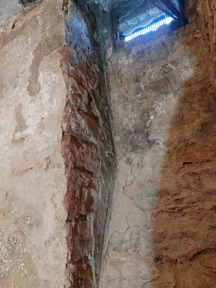 kg_20220326_093039_750x1000