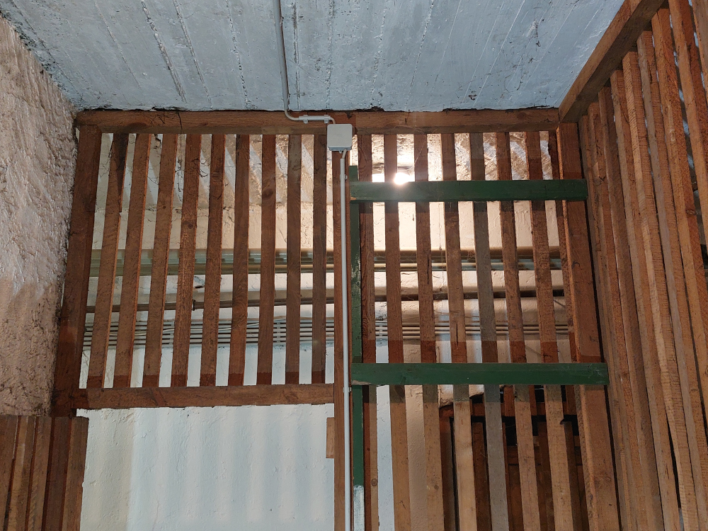 kg_20220326_093151_1000x750