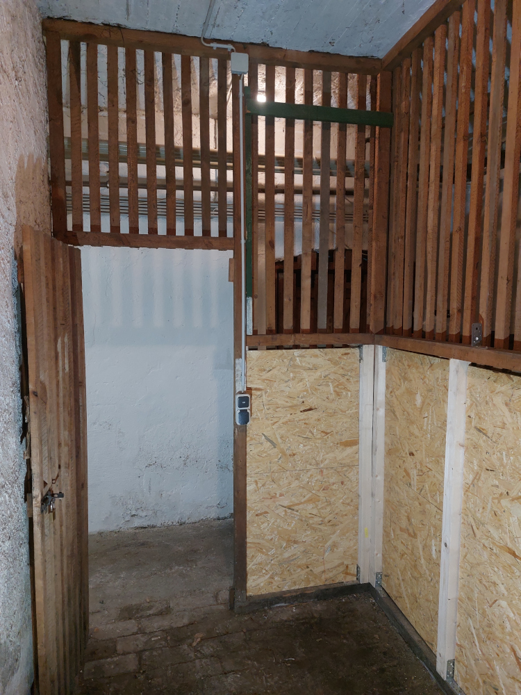 kg_20220331_170235_750x1000