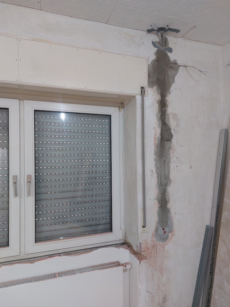 z2_20211212_121049_750x1000